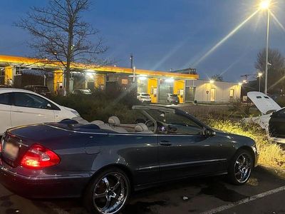 Gebraucht Mercedes CLK200 163 PS (119 kW) 2003 Blau Cabrio