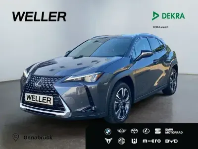 Gebraucht Lexus UX 250h 184 PS (135 kW) 2023 Grau SUV