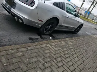 Gebraucht Ford Mustang