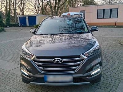 Gebraucht Hyundai Tucson Premium 177 PS (130 kW) 2017 Braun SUV