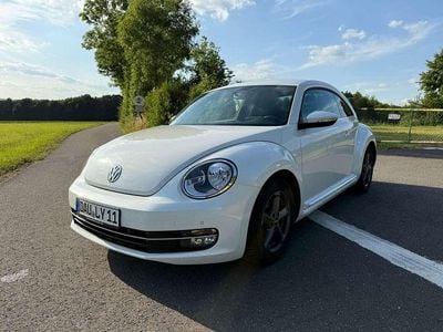 VW Beetle