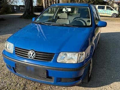 VW Polo