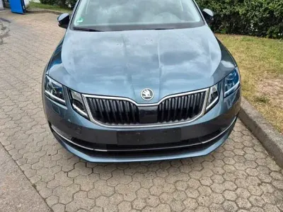 Gebraucht Skoda Octavia 150 PS (110 kW) 2020 Grau Kombi