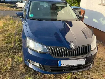 Gebraucht Skoda Fabia Active 95 PS (69 kW) 2018 Blau Limousine