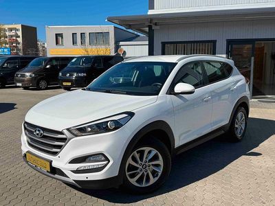 Usata Hyundai Tucson Intro Edition 116 CV (85 kW) 2016 Bianco SUV