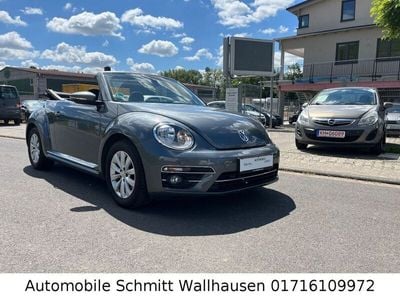 VW Beetle