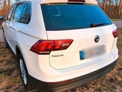 gebraucht VW Tiguan IQ.DRIVE 1.5 TSI ACT LED NAVI KAMERA ACC