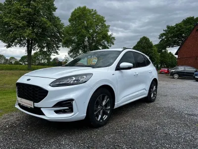 Occasion Ford Kuga ST-Line X 150 ch (110 kW) 2020 Blanc SUV