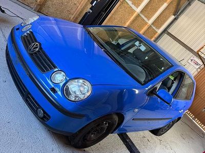 Blau Gebraucht 2002 VW Polo Kleinwagen | 2.100 € (Etwas zu teuer)