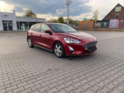 Usata Ford Focus 125 CV (91 kW) 2018 Rosso Berlina