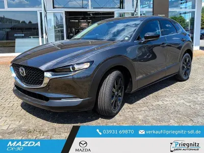Neu Mazda CX-30 Homura-Line 186 PS (136 kW) 2026 SUV