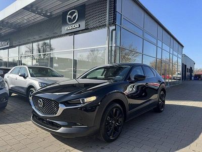 Neu Mazda CX-30 Homura-Line 140 PS (102 kW) 2026 SUV