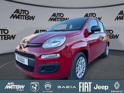 Neu Fiat Panda Icon 65 PS (47 kW) 2026 Rot Kleinwagen