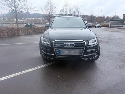 Usata Audi SQ5 313 CV (230 kW) 2015 Nero SUV