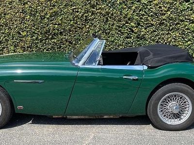 Gebraucht Austin Healey 3000 MK III 150 PS (110 kW) 1964 Grün Cabrio