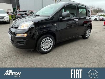 Neu Fiat Panda Icon 65 PS (47 kW) 2026 Schwarz Kleinwagen