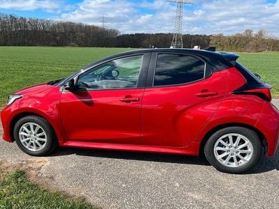 Gebraucht Toyota Yaris Comfort 116 PS (85 kW) 2021 Rot Kleinwagen