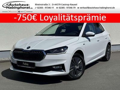 Moon weiß perleffekt Gebraucht 2025 Skoda Fabia Tour Kleinwagen | 20.990 € (Teuer)