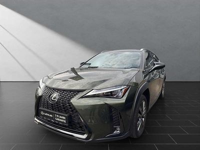 Gebraucht Lexus UX 250h Sport Line 184 PS (135 kW) 2023 Terrane khaki SUV