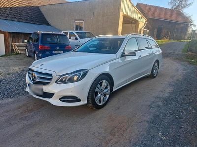 Usata Mercedes E350 Avantgarde 252 CV (185 kW) 2013 Bianco Station wagon