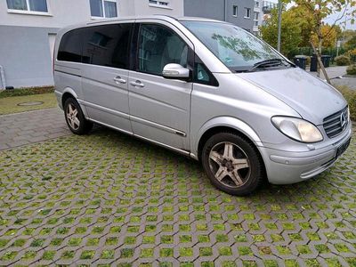 Mercedes Viano