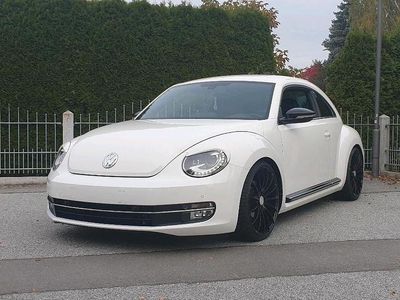 VW Beetle