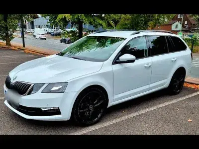 Gebraucht Skoda Octavia Drive 150 PS (110 kW) 2017 Weiß Kombi