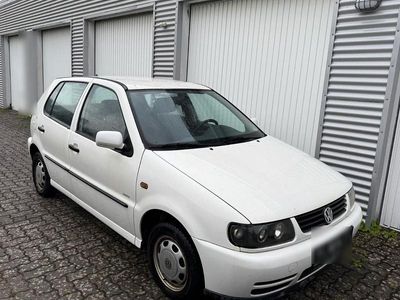 VW Polo