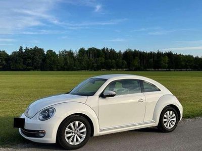 VW Beetle