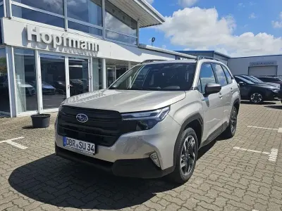 Gebraucht Subaru Forester Active 136 PS (100 kW) 2026 Beige SUV
