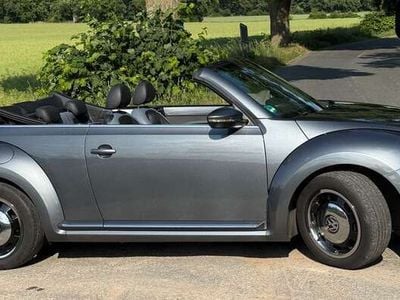 VW Beetle
