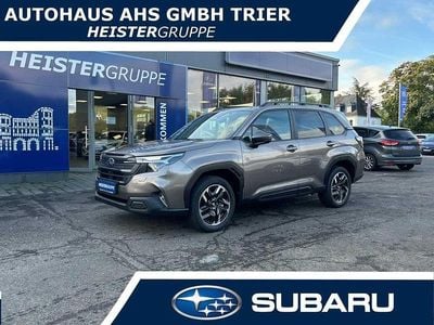 Neu Subaru Forester Exclusive+ 136 PS (100 kW) 2025 Braun SUV