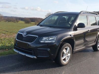 gebraucht Skoda Yeti 1.2 TSI Active Plus Edition Active Plus...