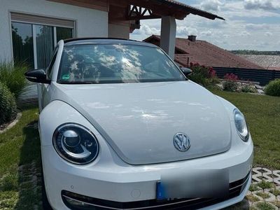 VW Beetle