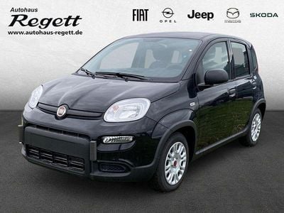 Gebraucht Fiat Panda 69 PS (50 kW) 2024 Schwarz Kleinwagen