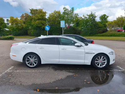 Gebraucht Jaguar XJ Premium Luxury 275 PS (202 kW) 2014 Weiß Limousine