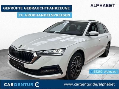 Gebraucht Skoda Octavia Ambition 150 PS (110 kW) 2023 Candy weiss uni Kombi