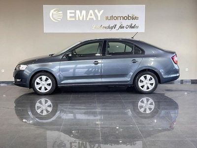 Gebraucht Skoda Rapid Active 95 PS (69 kW) 2017 Grau Kleinwagen