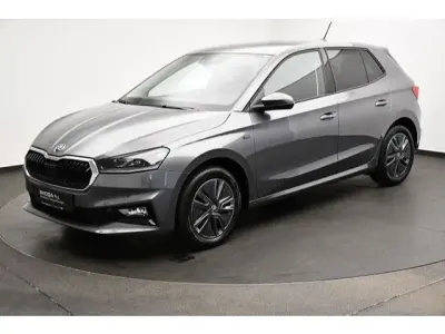 Gebraucht Skoda Fabia Tour 116 PS (85 kW) 2025 Graphitegrau metallic (metallic) Kleinwagen