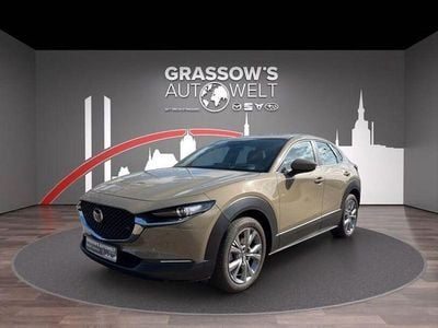 Gebraucht Mazda CX-30 Center-Line 186 PS (136 kW) 2024 Grau SUV