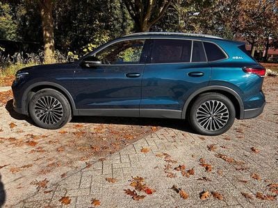 Gebraucht VW Tiguan Goal 150 PS (110 kW) 2024 Grün SUV