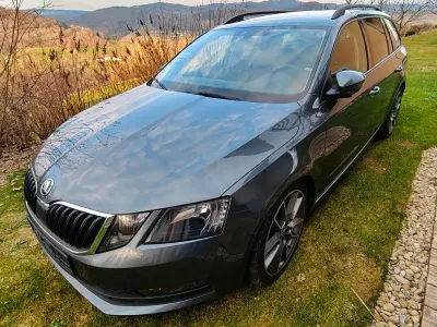 Gebraucht Skoda Octavia 150 PS (110 kW) 2019 Grau Kombi