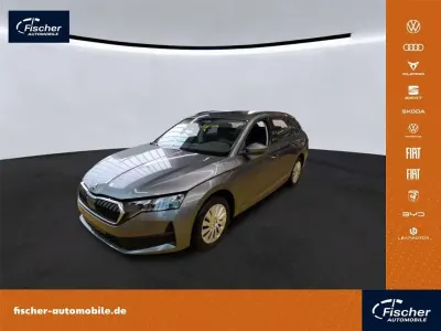 Gebraucht Skoda Octavia Essence 116 PS (85 kW) 2025 Grau Kombi
