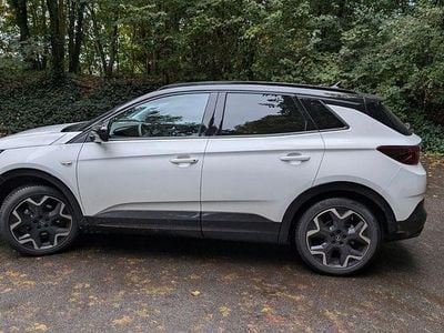 Gebraucht Opel Grandland X Ultimate 131 PS (96 kW) 2024 Weiß SUV