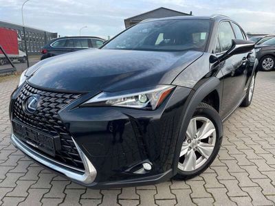 gebraucht Lexus UX 250h Hybrid Luxury Line