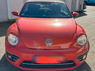 VW Beetle