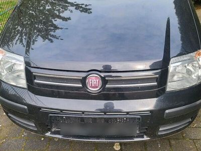 gebraucht Fiat Panda Dynamik Klima 2Hand