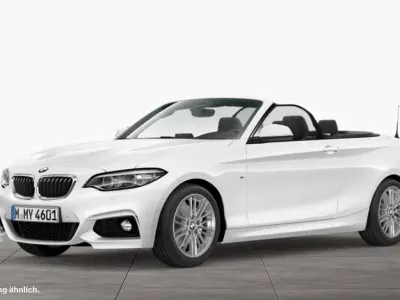 Gebraucht BMW 220 M Sport 184 PS (135 kW) 2018 Alpinweiß uni Cabrio