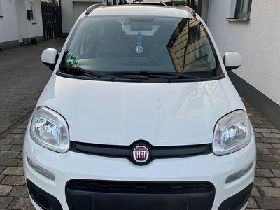 Gebraucht Fiat Panda 69 PS (50 kW) 2012 Weiß Kleinwagen