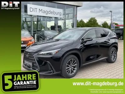 Gebraucht Lexus NX450h+ Business Edition 309 PS (227 kW) 2024 Schwarz SUV